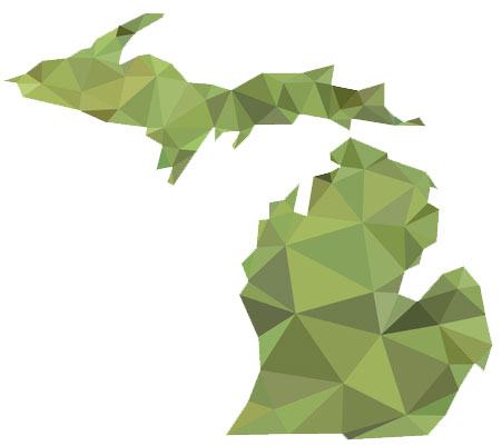 Military Friendly Colleges in Michigan