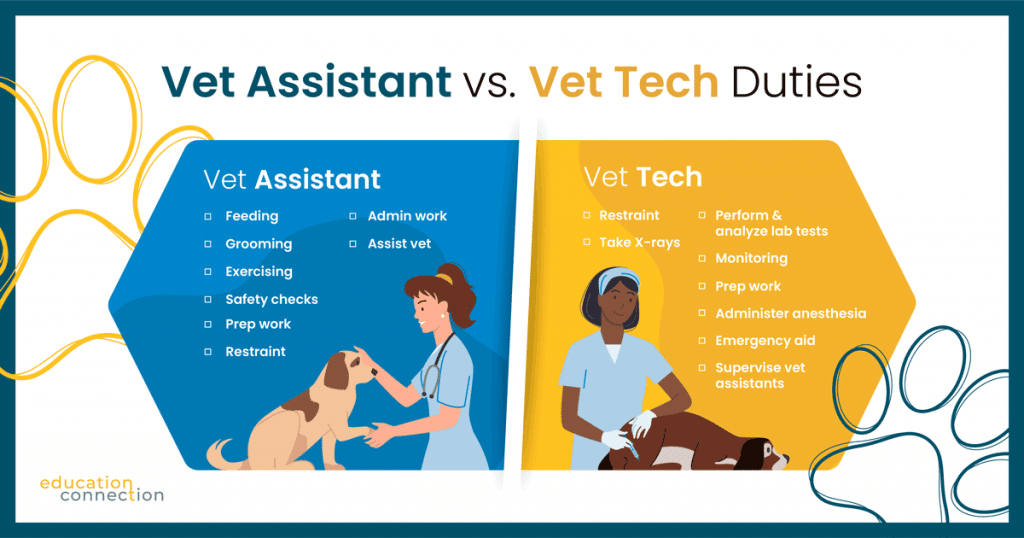 Vet Techs vs Vet Assistants